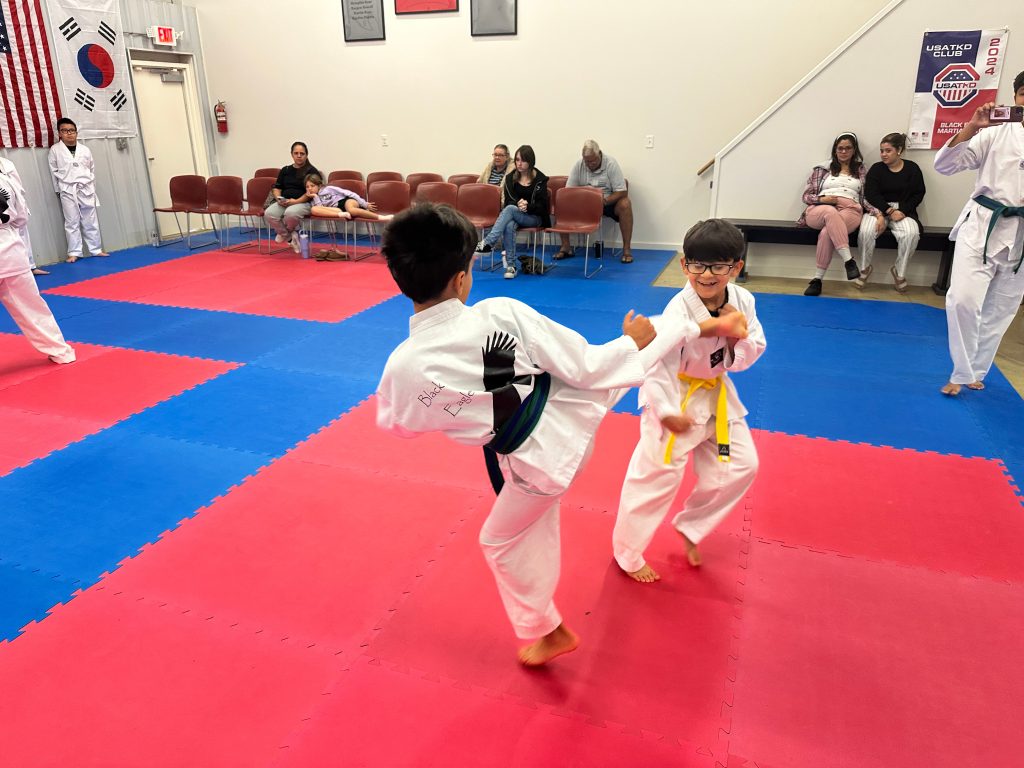 Beginner Taekwondo